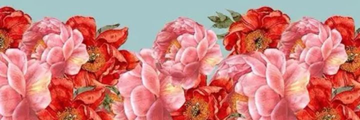 Ibertani's profile banner image