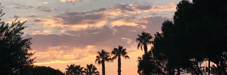 _thaiiss__'s profile banner image