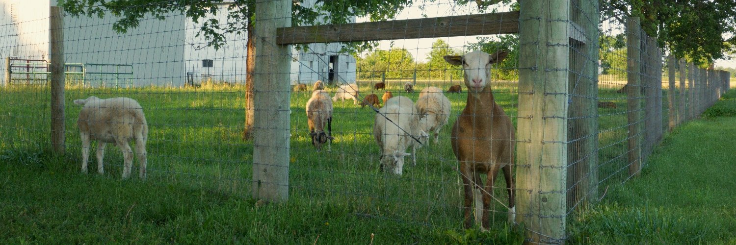 Angela Huffman banner