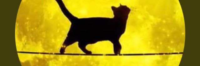 maritel_teli's profile banner image