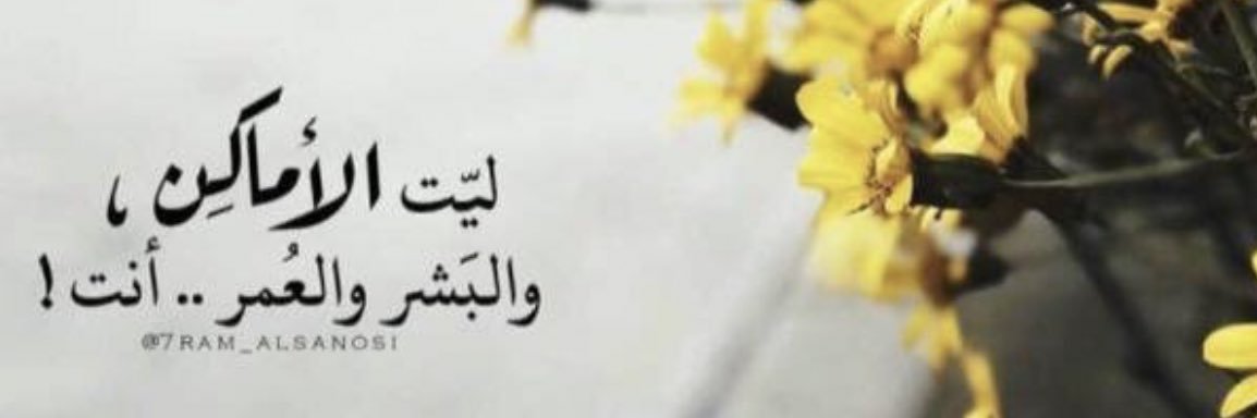 SHAG241's profile banner image