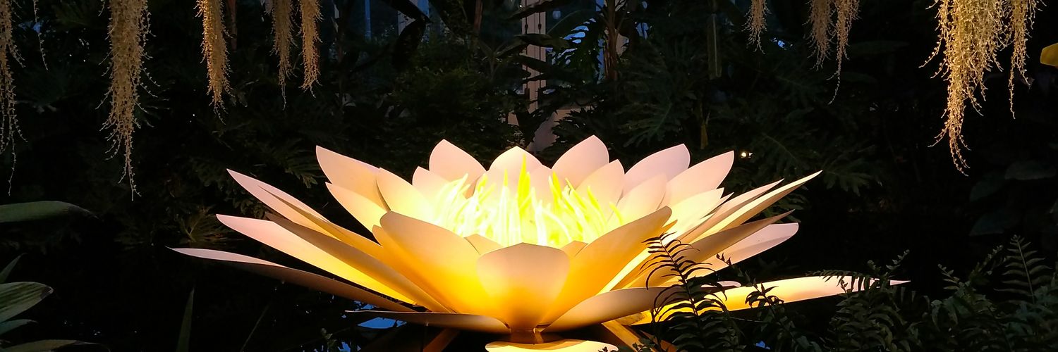 PoperMarie's profile banner image