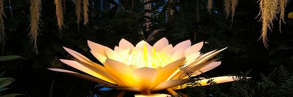 PoperMarie Profile Banner