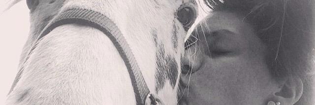 freddi jackson banner