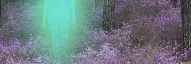 solstiiiice's profile banner image