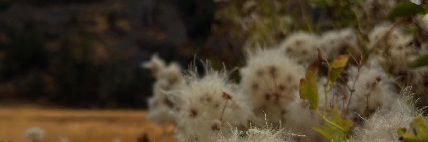breazinb's profile banner image