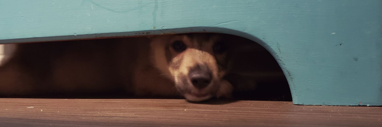 TheLeftorium's profile banner image