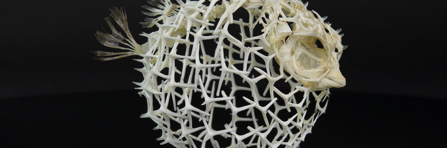 ShellPhishOne banner