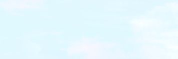 sachistarry's profile banner image