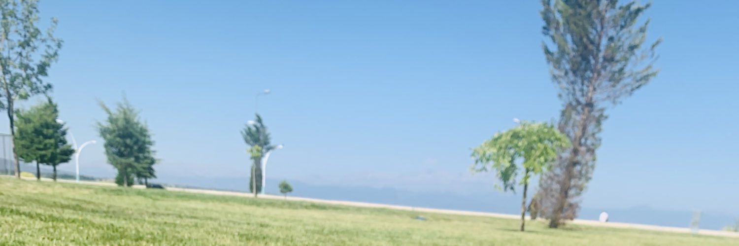 askaslaa's profile banner image