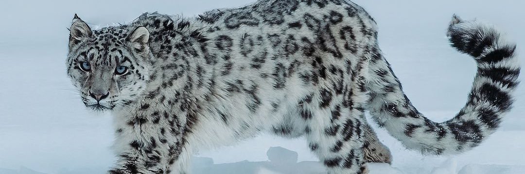NatiiUbaldi's profile banner image