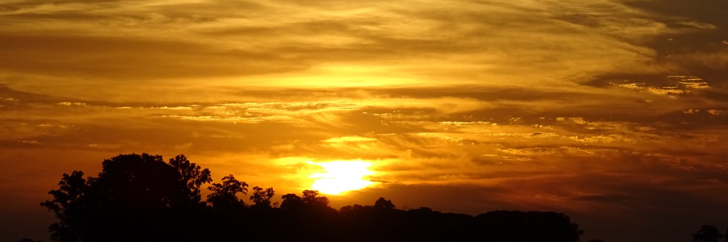 mart_rod's profile banner image