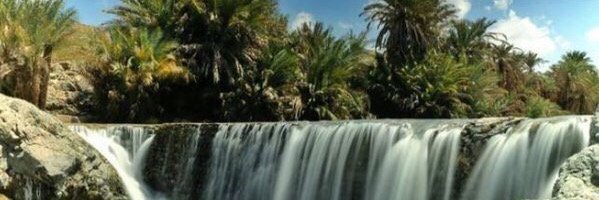tafif1010's profile banner image