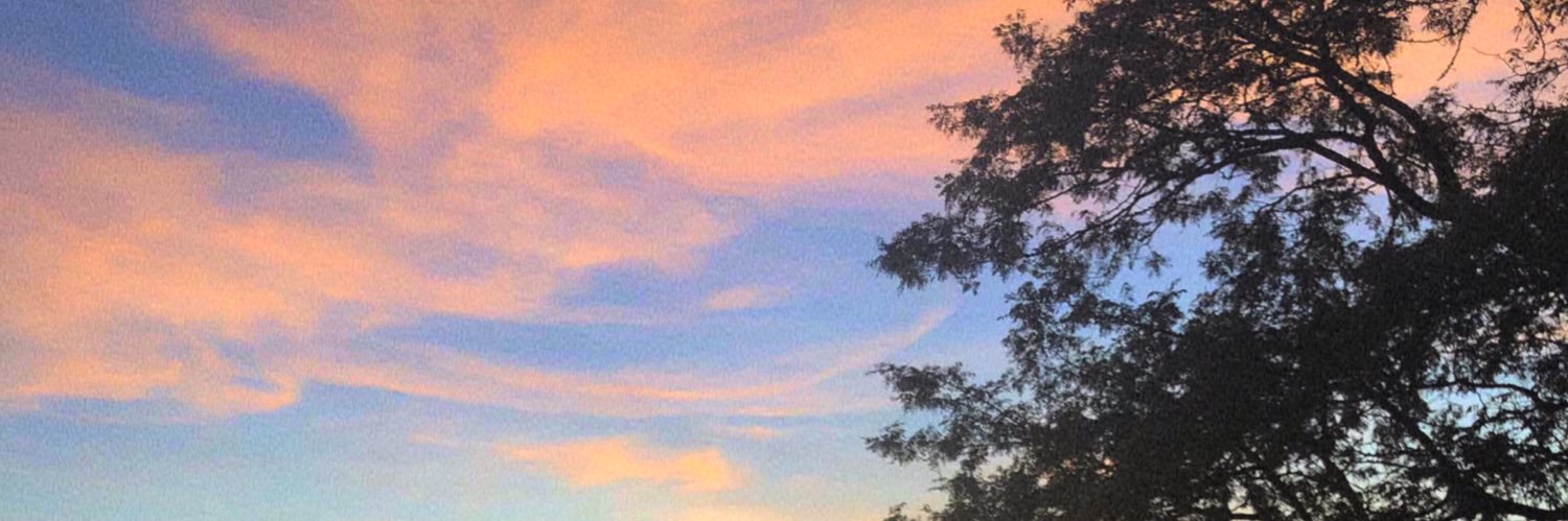 rivarlsn's profile banner image