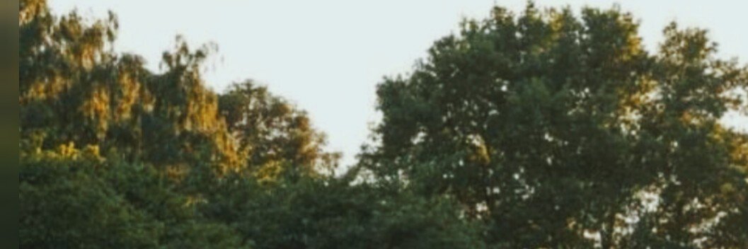 nurozer6's profile banner image