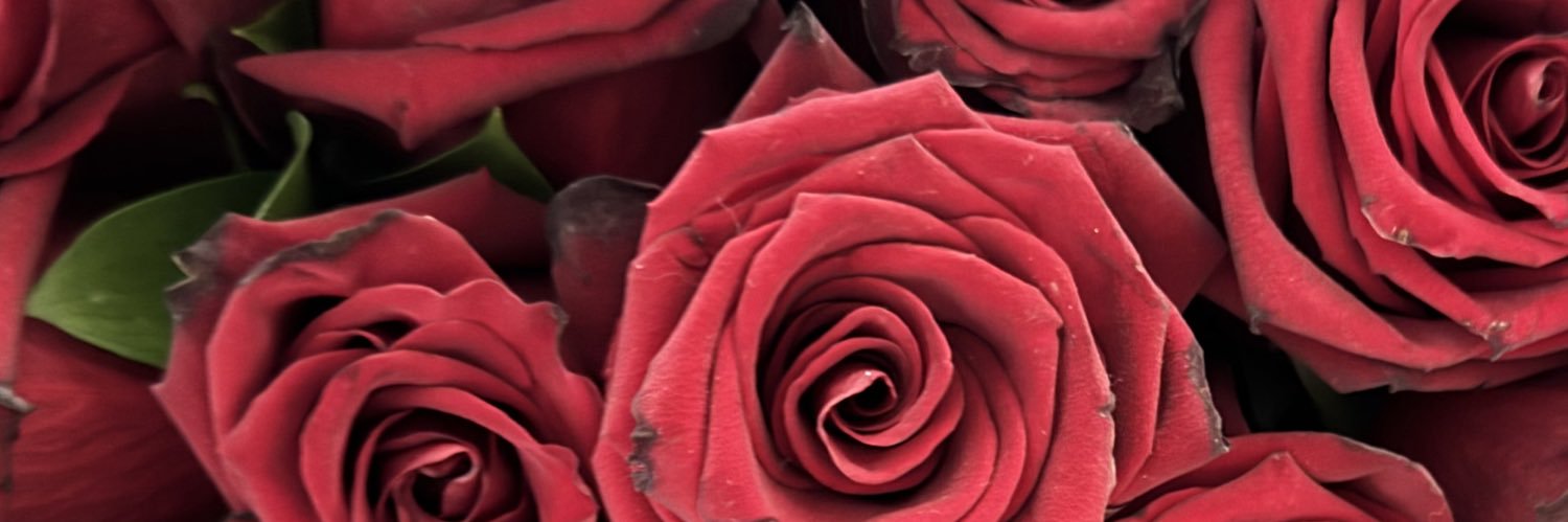 erikitalevale's profile banner image