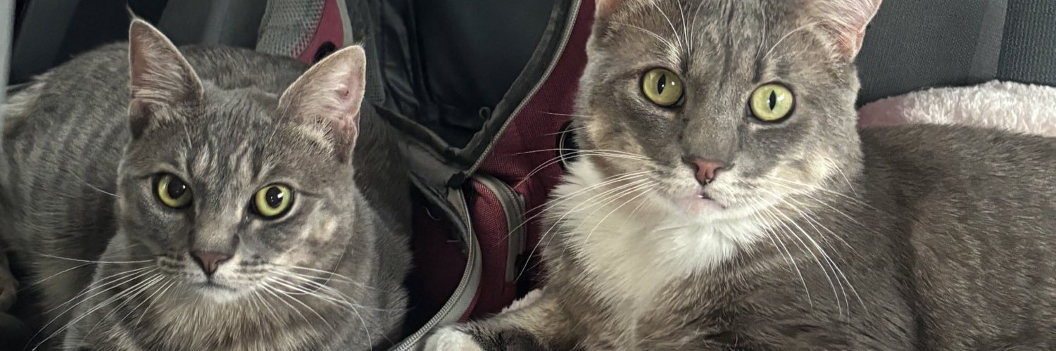 tribbiabing's profile banner image