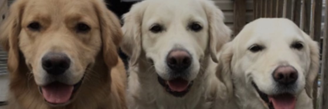 billyling11's profile banner image