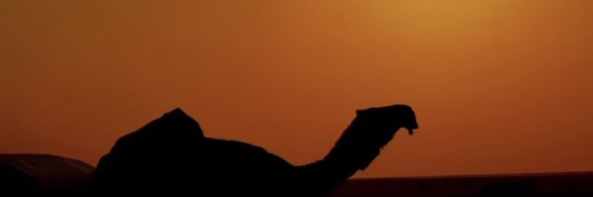 yazedalrogi's profile banner image