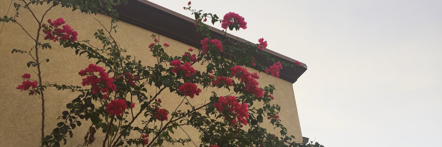alexa_bell's profile banner image