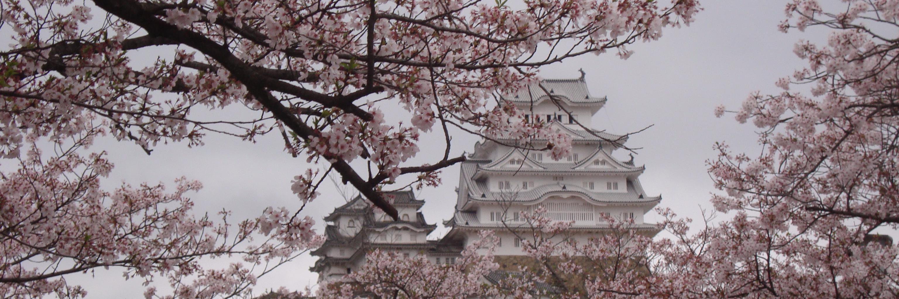 Steven R Ellison banner