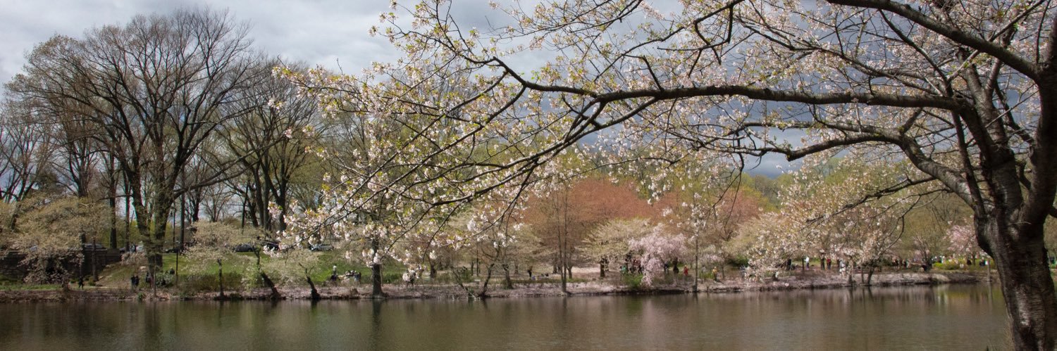 Michael Sol Warren banner