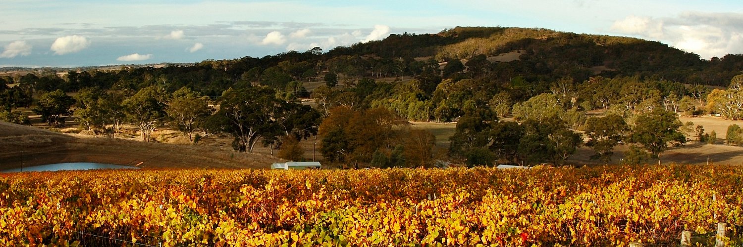 Tomich Wines banner