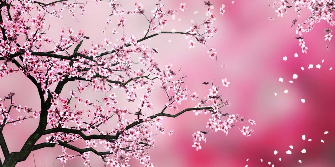 Mc6Holly's profile banner image