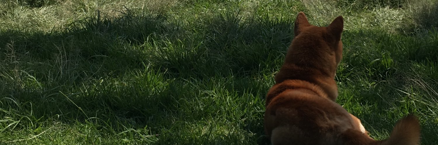MariaBurruel's profile banner image
