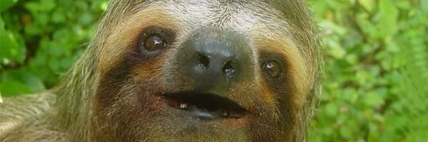 DoktorMegal's profile banner image