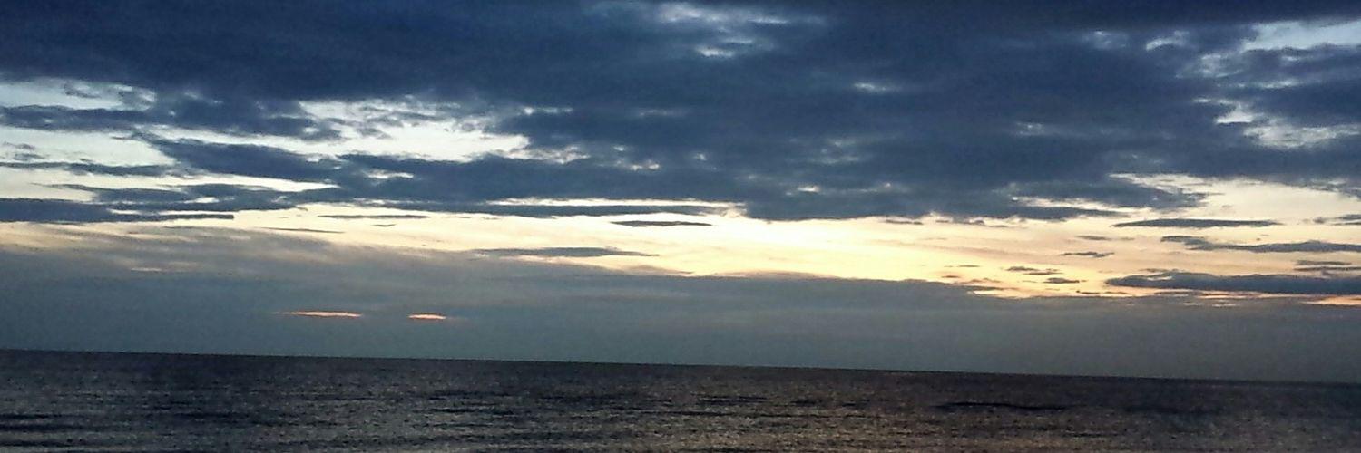 DelbarbaChiara's profile banner image