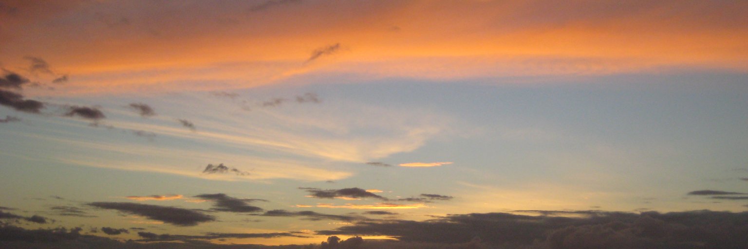 natdey's profile banner image