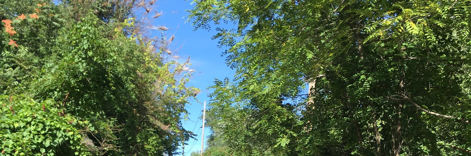 RobMLewis1's profile banner image
