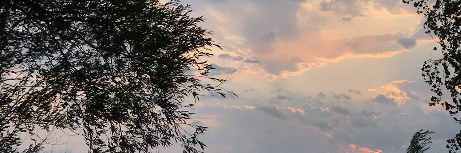 jamesnotmadison's profile banner image