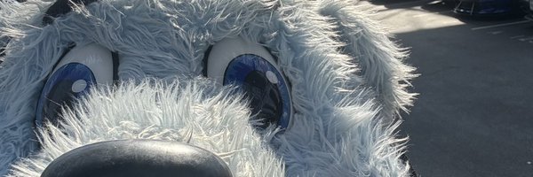 LouieSTLBlues Profile Banner