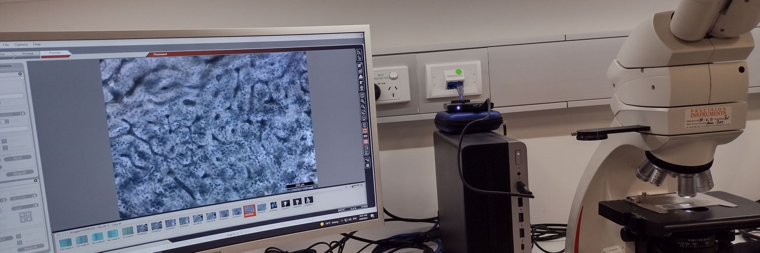 Dr Ariane Maggio banner