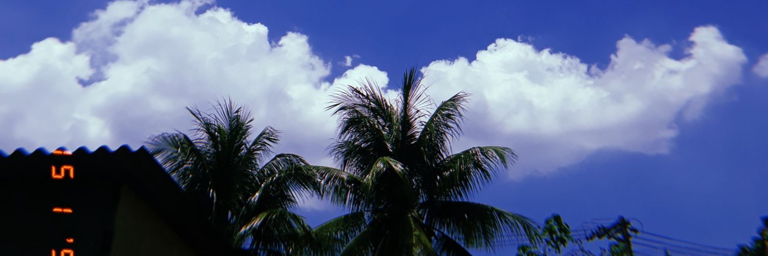 maycalado_'s profile banner image