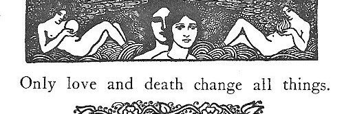 ✿ 𝔰𝔭𝔦𝔠𝔢 ✿ banner