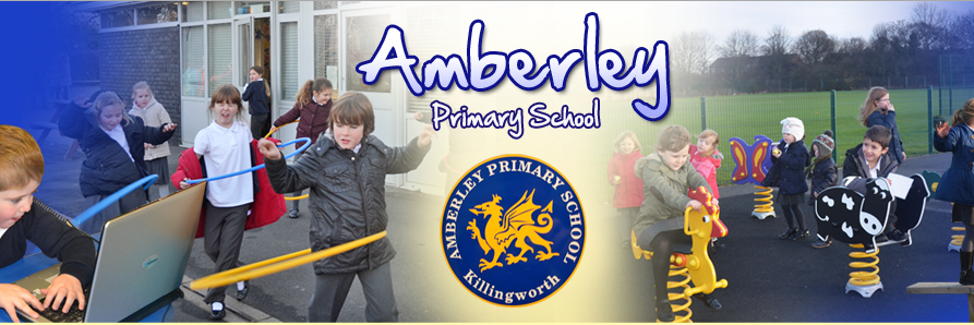 Amberley Year 2 banner
