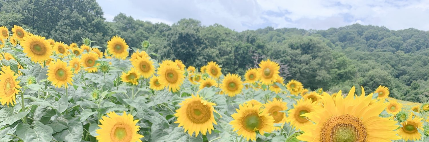 yu__chachan's profile banner image