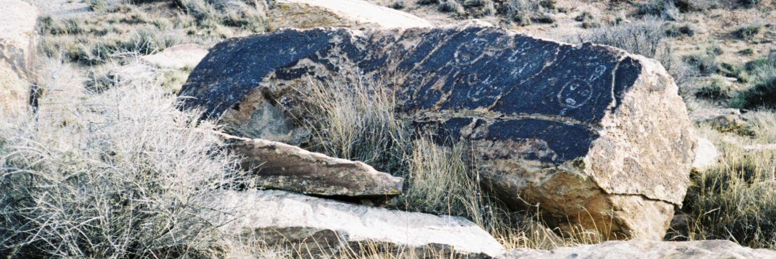 TheRealWillRock's profile banner image