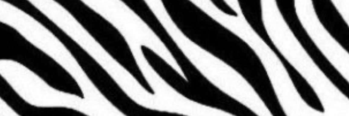 lipsbyjaida's profile banner image
