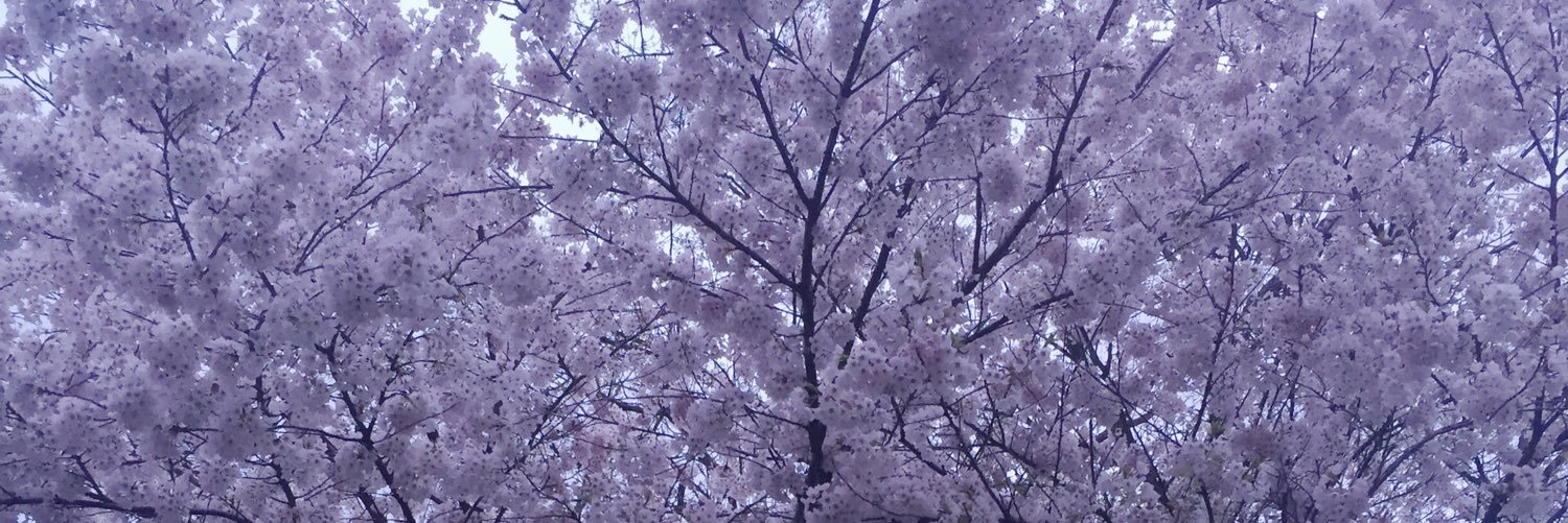 marriaarango's profile banner image
