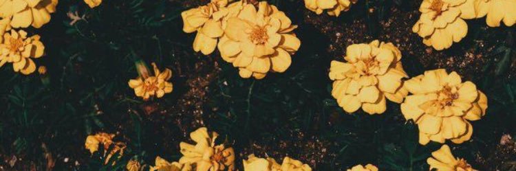 Taylor Hathaway banner