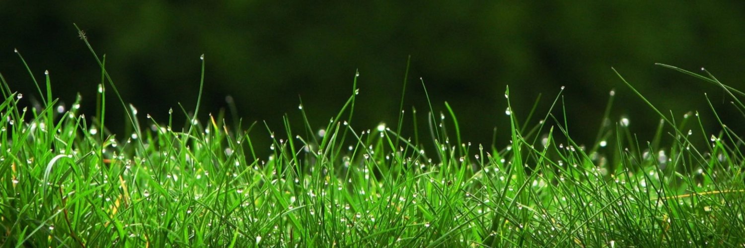 Go Touch Grass 💫💥 banner