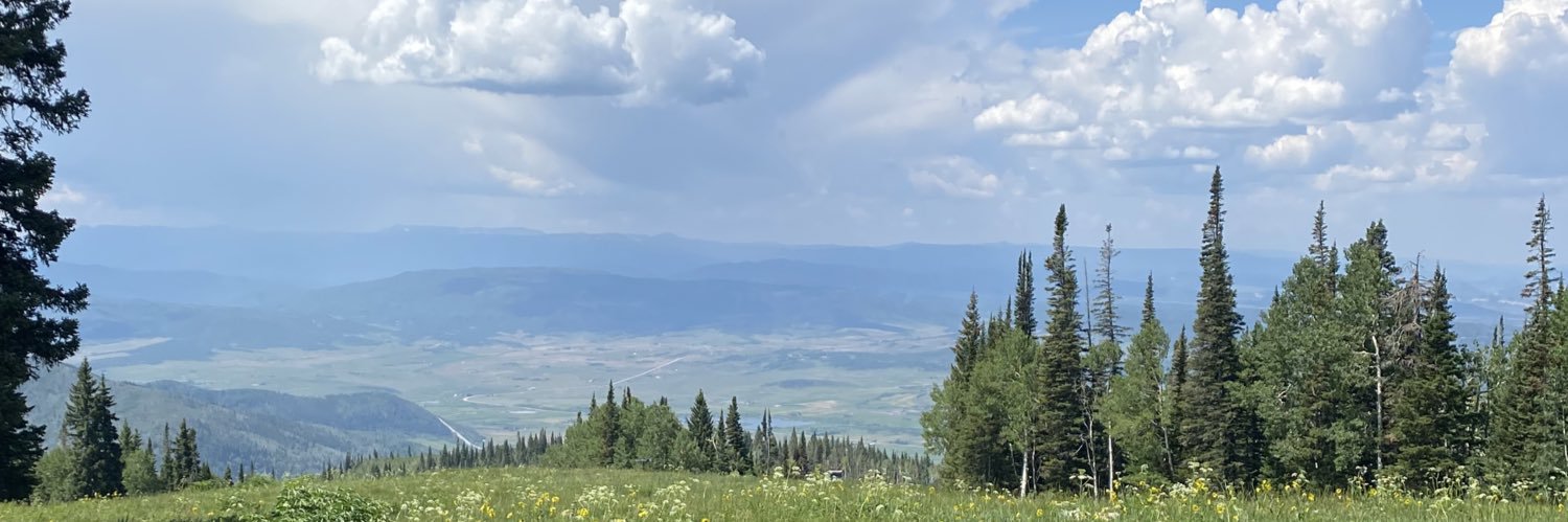 Jamey Trotter banner