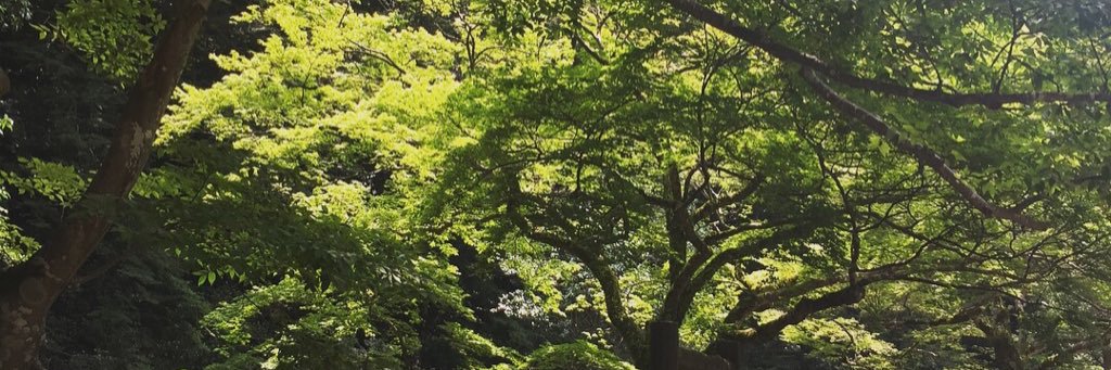 ryo550228's profile banner image