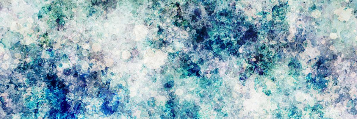 Blepharocalyx's profile banner image