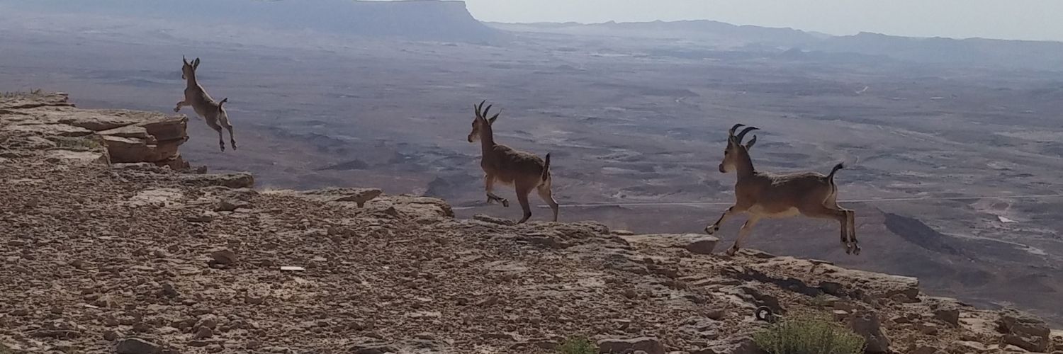 Guy Cotev גיא קוטב banner