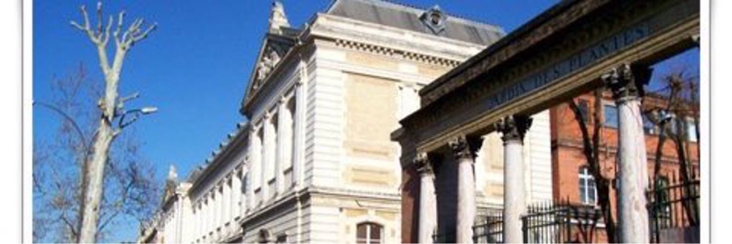 AMaumont's profile banner image